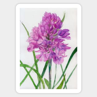 Pink wild orchid watercolour painting Sticker